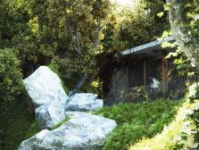 house in forest